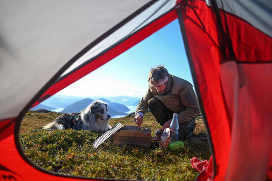 Junger Mann macht neben seinem Hund und Zelt den Skotti Gasgrill an